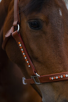 Halster leer oranje en crystal