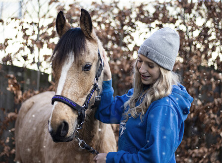 Halster leer blauw