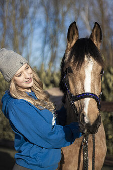 Halster leer blauw