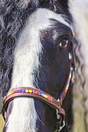 leren halster bruin multicolour