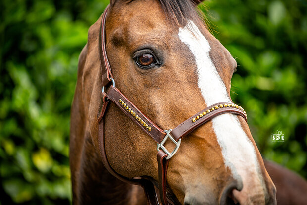 leren halster bruin goud