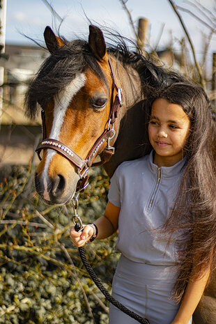 leren halster bruin rainbow