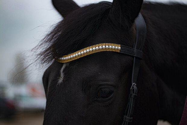 Frontriem goud en parel