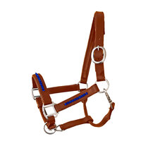 Halter Bling Blue - Cognac leather