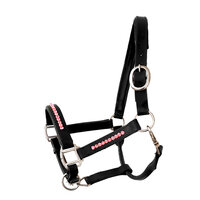 Halter Bling Pink - Black leather
