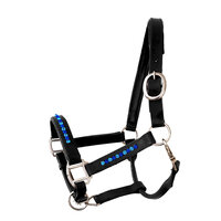 Halter Bling Special Blue - Black leather