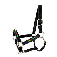 Halter Bling Multicolour - Black leather