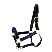 Halter Bling Blue - Black leather