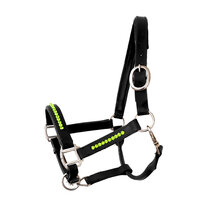 Halter Bling Light Green - Black leather