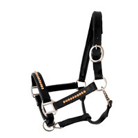 Halter Bling Rose Gold - Black leather